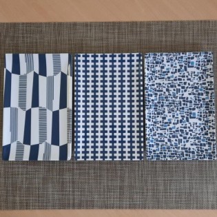 PLATO RECT. SUSHI 6 DIS. AZUL 25 x 16 CM 2