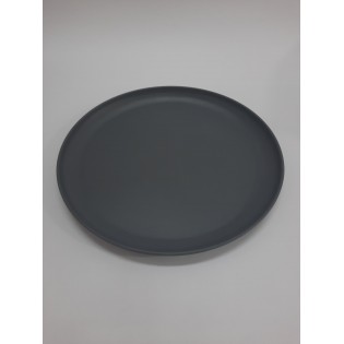 PLATO PLAYO GRIS MATE  24 X 1,5 CM