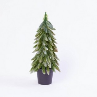 PINO 34 X 17 CM