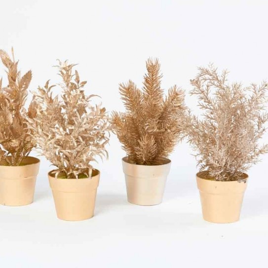 MACETA CGAMPAGNE, 4 DISEÑOS. 20 CM