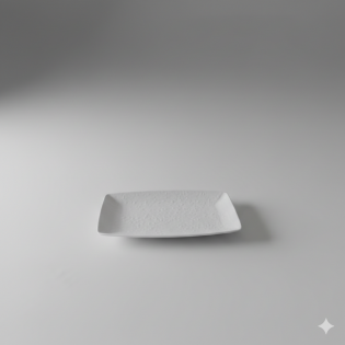 FUENTE RECTANGULAR MATE 23,9CM